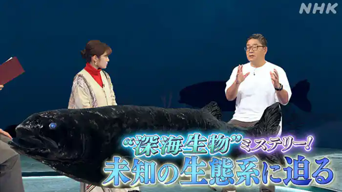 “深海生物”ミステリー！未知の生態系に迫る