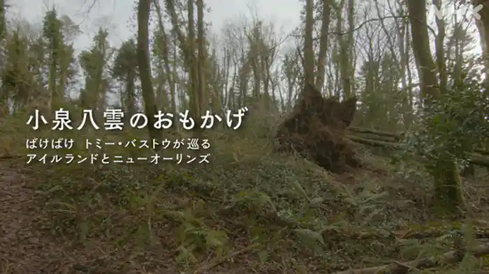 ばけばけトミー・バストウが巡るアイルランドとニューオーリンズ（総合テレビ版）