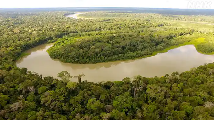 アマゾン“消失”の衝撃　～ＣＯＰ３０　熱帯雨林を守れるか～