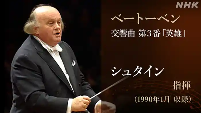 ホルスト・シュタインの芸術【Ｖ】