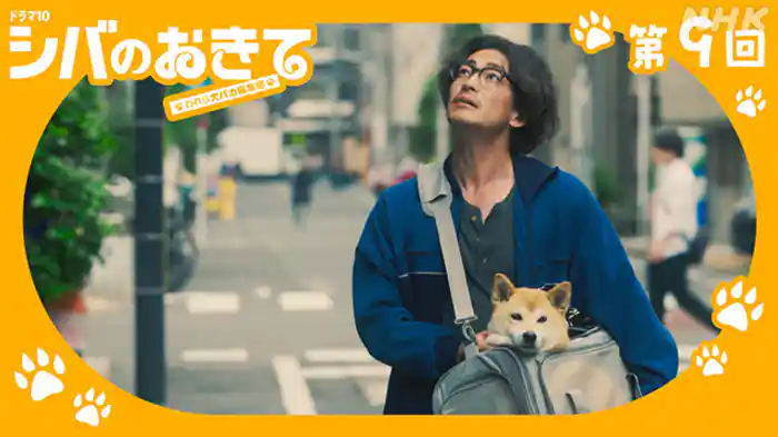 ダメシバも犬バカも永遠に（最終回）