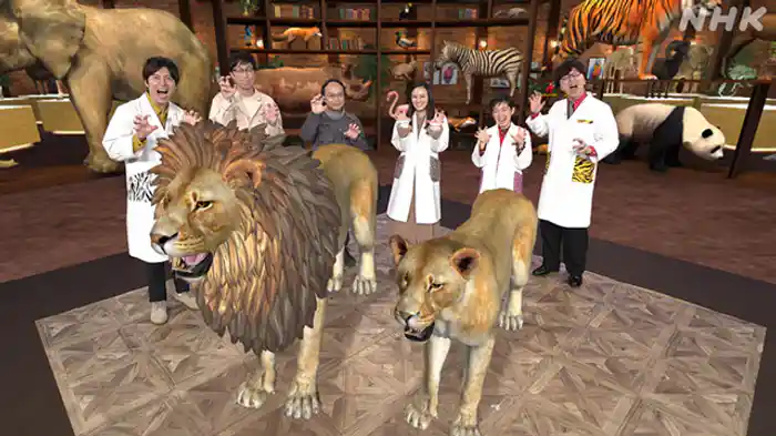 ライオン　百獣の王への進化