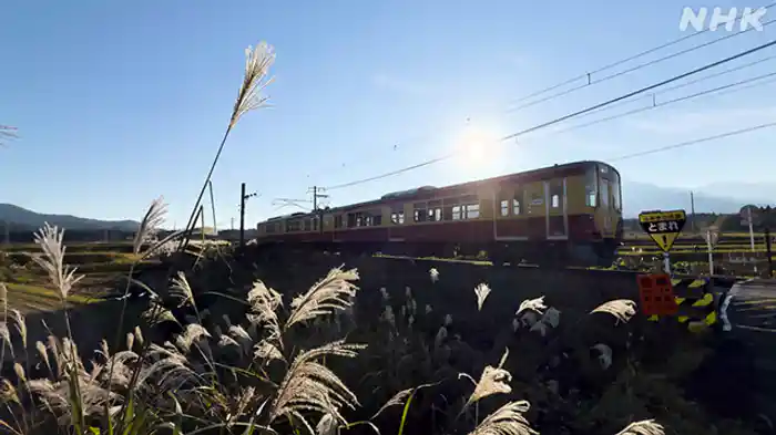 絶景！秋の高原と日本海　えちごトキめき鉄道