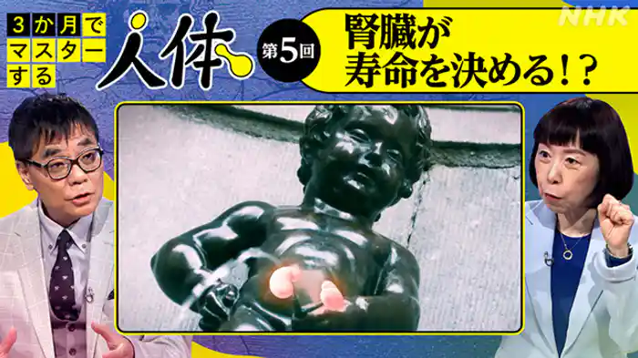 （５）腎臓が寿命を決める！？