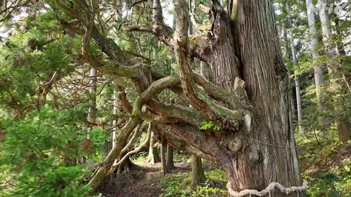 ２０２６　新春