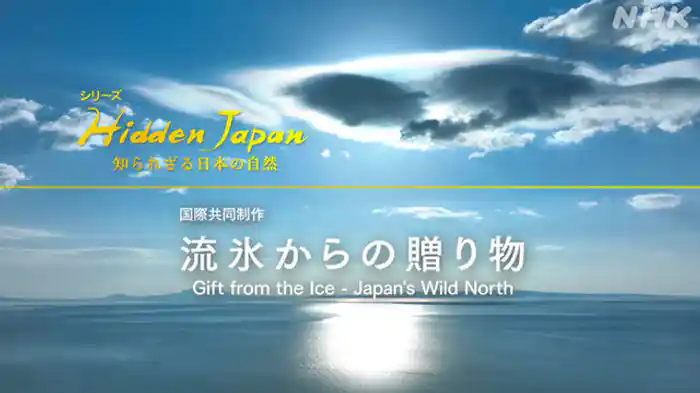 流氷からの贈り物