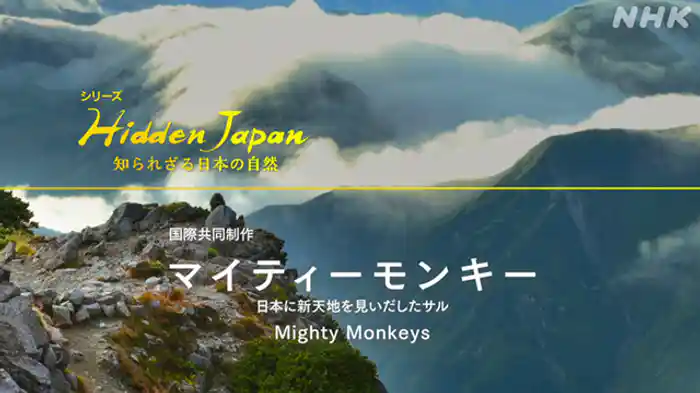 マイティーモンキー 日本に新天地を見いだしたサル