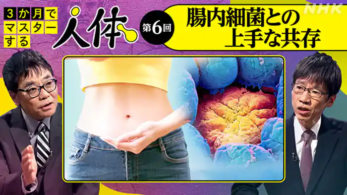 （６）腸内細菌との上手な共存