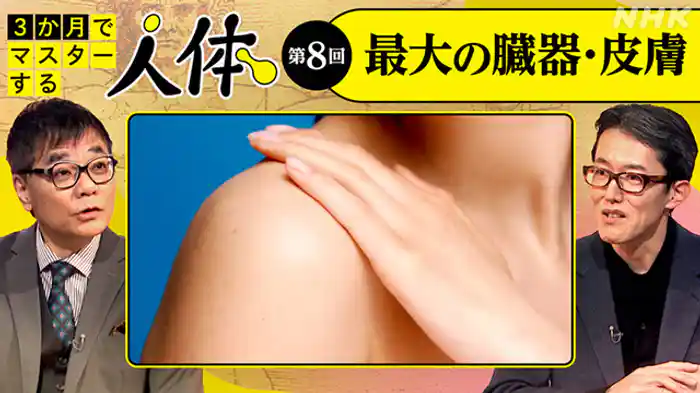 （８）最大の臓器・皮膚