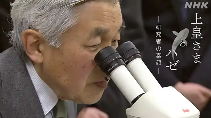 上皇さまとハゼ　～研究者の素顔～