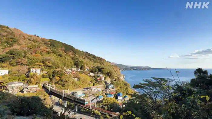 初春の絶景と海の幸! 静岡 伊豆急行線