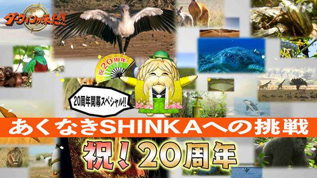 ダーウィンが来た！ #42 「20周年開幕スペシャル ～あくなき