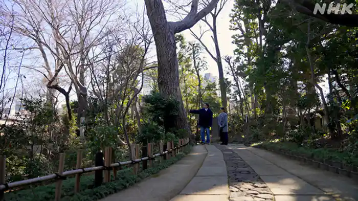 荏原 畠山美術館