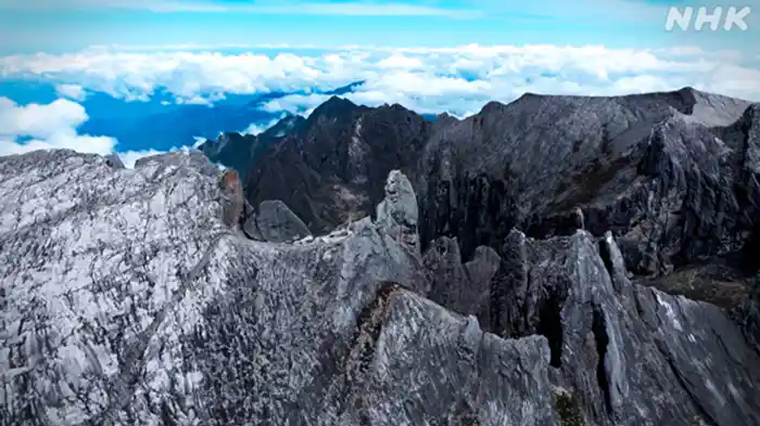 ボルネオ“死者の谷”に挑む マレーシア・キナバル山