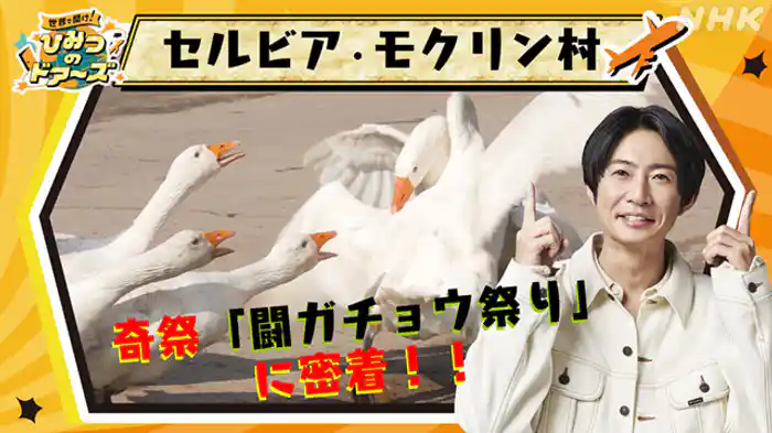 ガチョウにかける夢 ~セルビア・モクリン村~