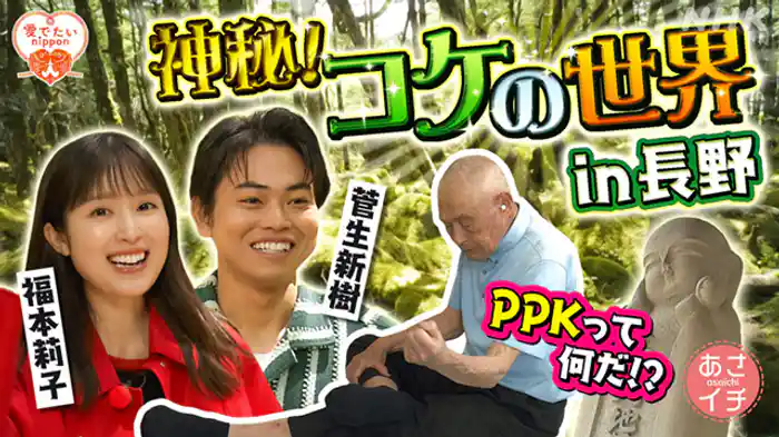 愛(め)でたいnippon長野