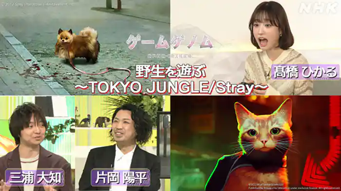 野性を遊ぶ~TOKYO JUNGLE/Stray~