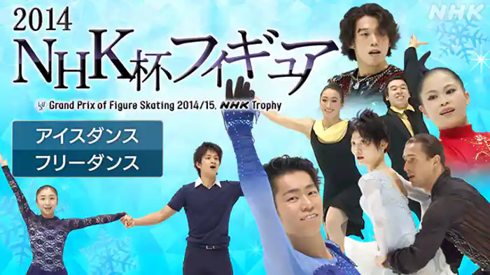 2014 アイスダンス フリー
