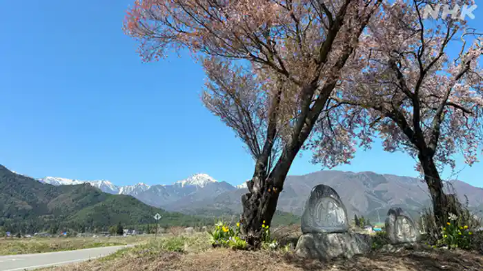 (最終回)