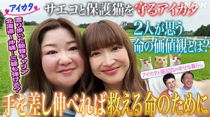 シーズン２　（７）