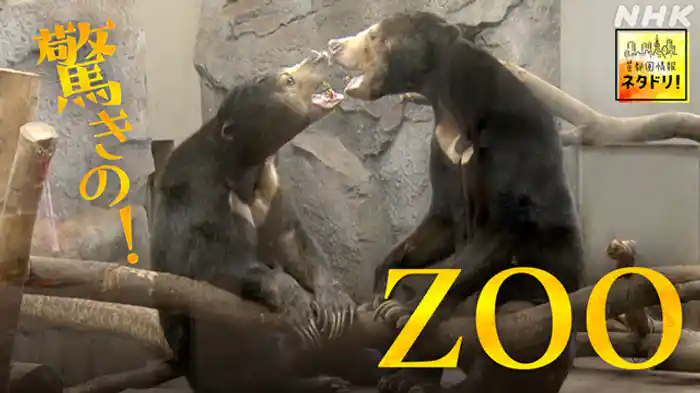 “進化する”動物園へようこそ!