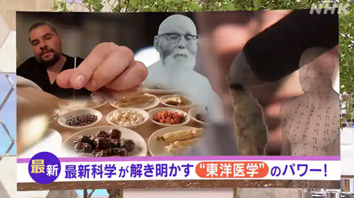 (8)最新科学が解き明かす“東洋医学”のパワー!