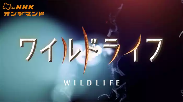 ワイルドライフ