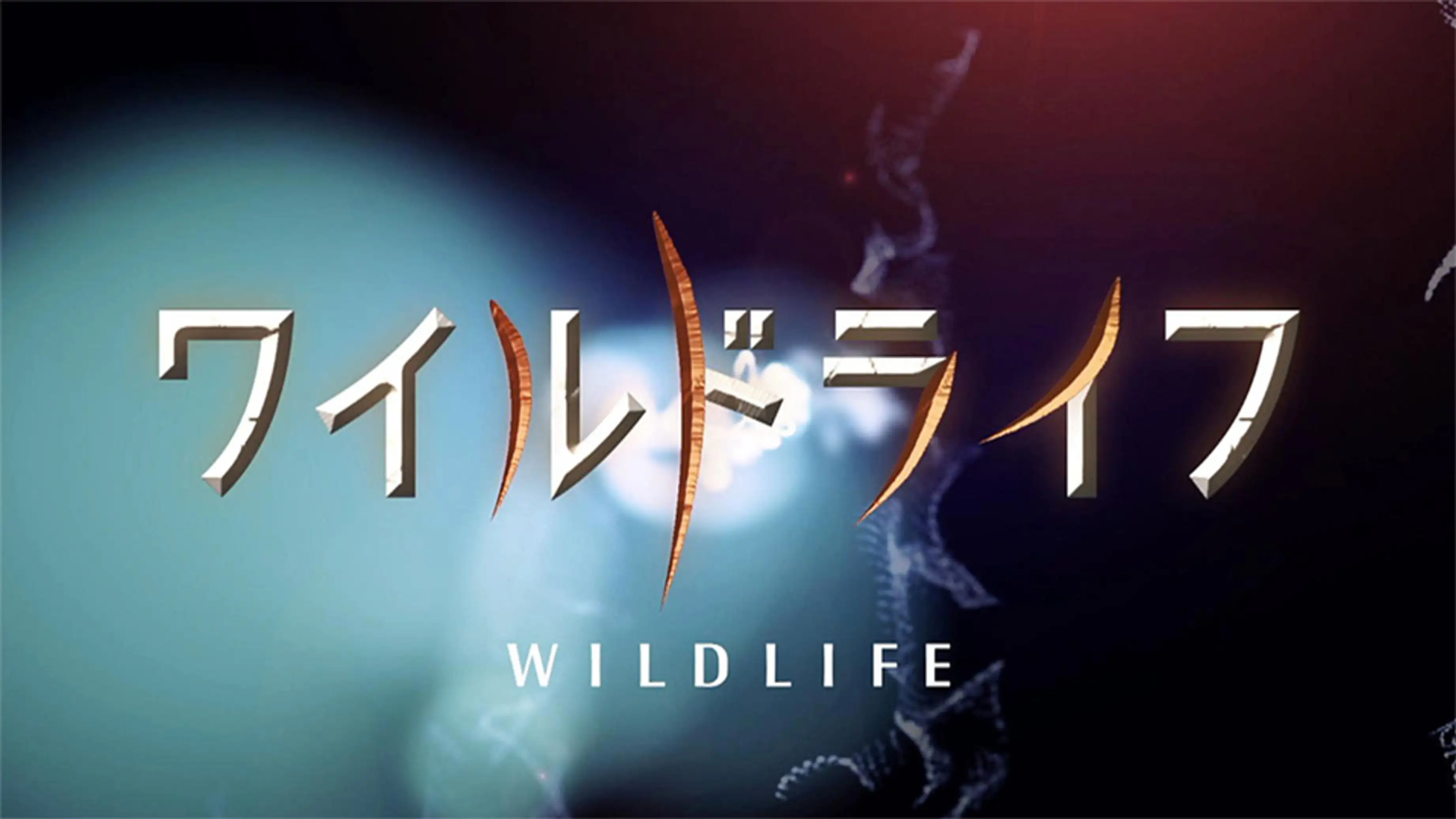 ドキュメンタリーの動画特集 おすすめ 名作から新作まで U Next