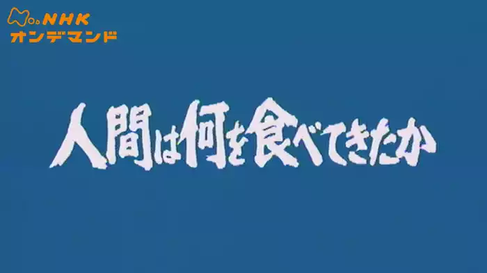 人間は何を食べてきたか