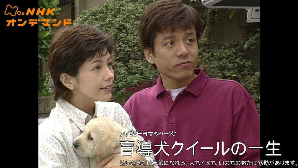 盲導犬クイールの一生 - サムネイル