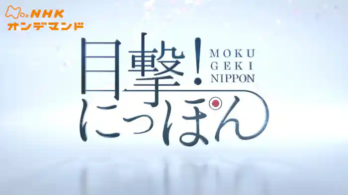 目撃！にっぽん