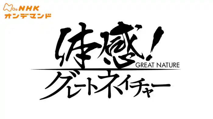 体感！グレートネイチャー