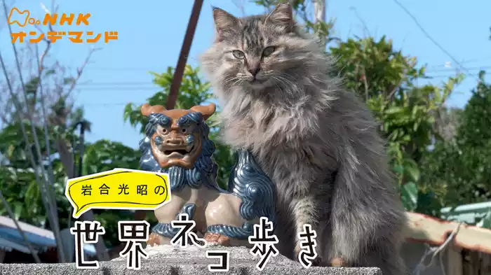 岩合光昭の世界ネコ歩き