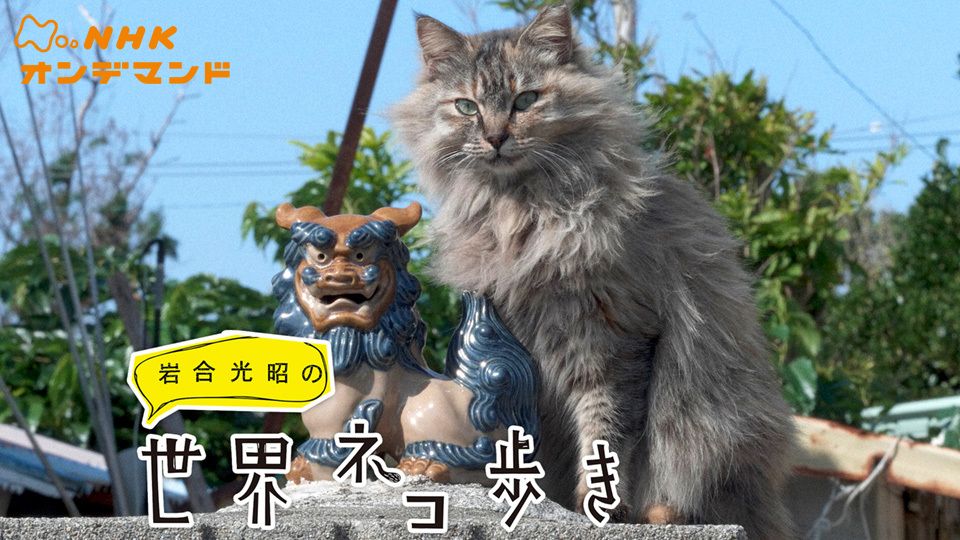 岩合光昭の世界ネコ歩きの動画を配信しているサービス 動画作品を探すならaukana