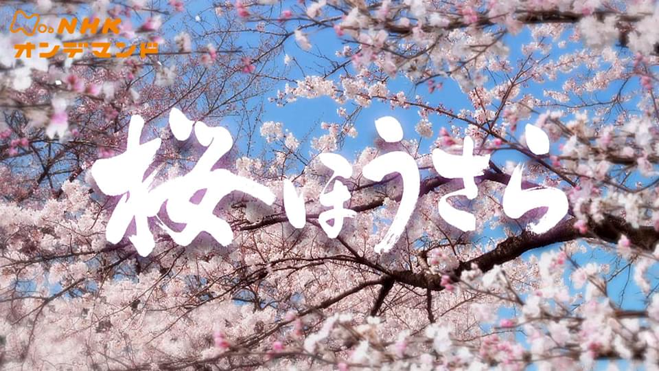 桜ほうさら - サムネイル