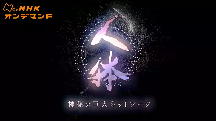 ＮＨＫスペシャル　シリーズ　人体　神秘の巨大ネットワーク