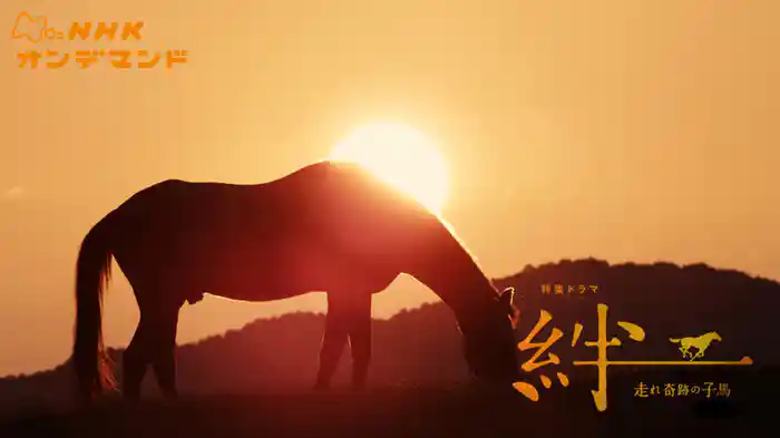 特集ドラマ　絆～走れ奇跡の子馬～