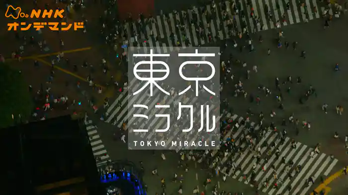 Ｎスペ　東京ミラクル