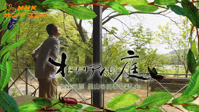 オーレリアンの庭