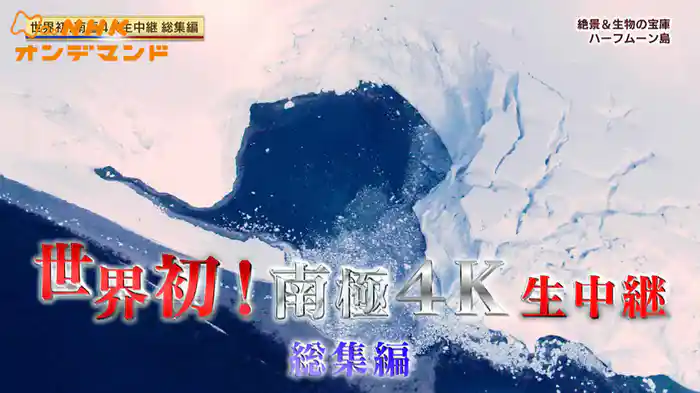 南極４Ｋ生中継