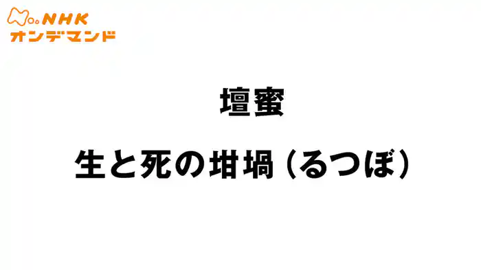 壇蜜　生と死の坩堝