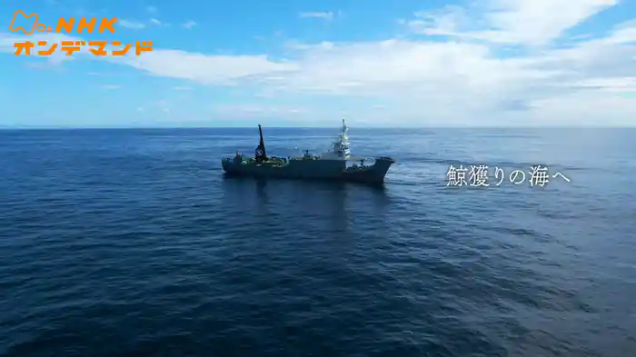特集　「鯨獲（と）りの海へ」