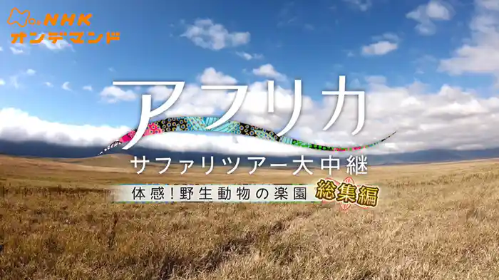 アフリカ　サファリツアー大中継