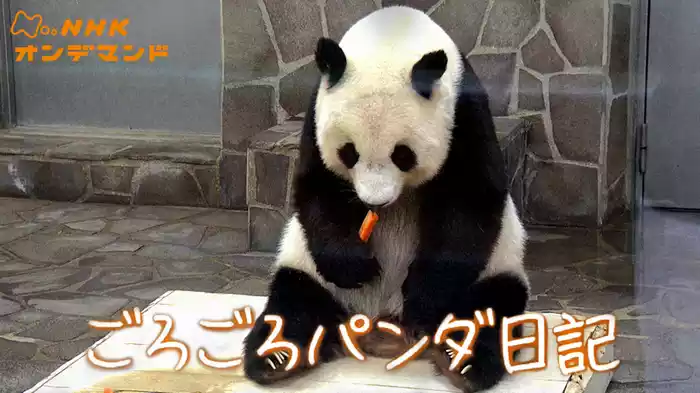 ごろごろパンダ日記