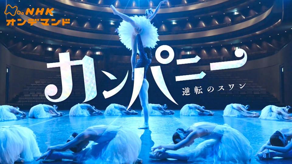 カンパニー～逆転のスワン～ - サムネイル