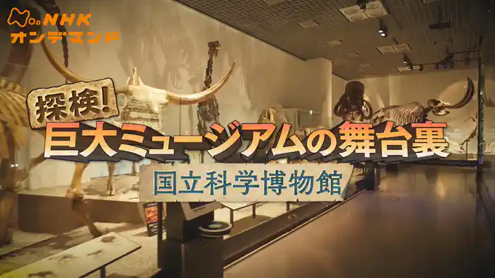 探検！巨大ミュージアムの舞台裏　～国立科学博物館～