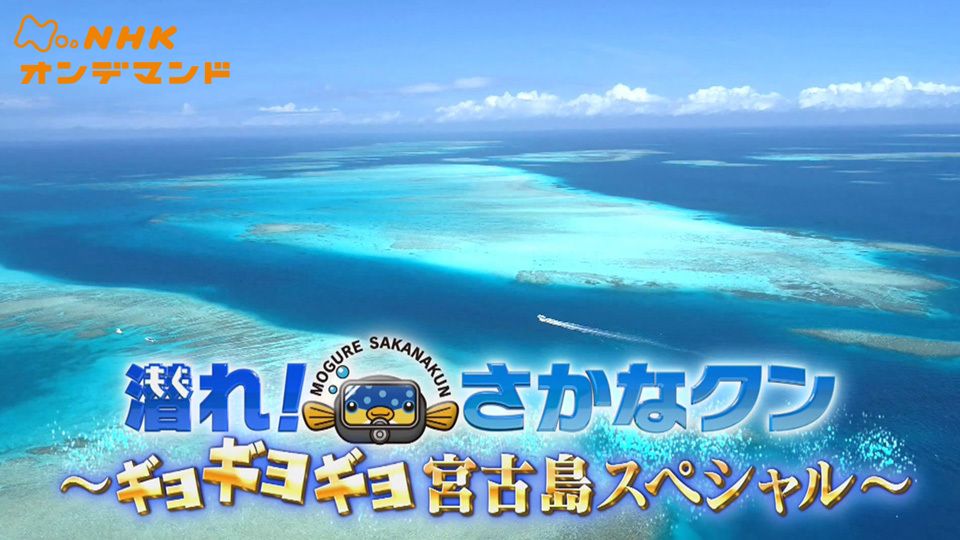 潜れ さかなクン の動画を配信しているサービスはある 視聴したい人におすすめの動画配信サービス 動画作品を探すならaukana 潜れ さかなクン の動画を配信しているサービスはある 視聴したい人におすすめの動画配信サービス 動画作品を探すならaukana