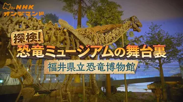 探検！恐竜ミュージアムの舞台裏～福井県立恐竜博物館～