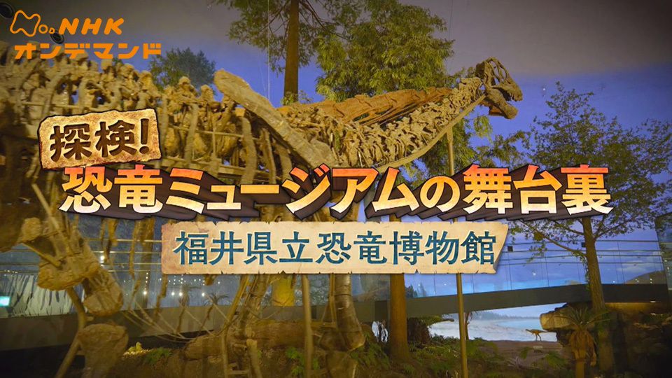 探検！恐竜ミュージアムの舞台裏〜福井県立恐竜博物館〜