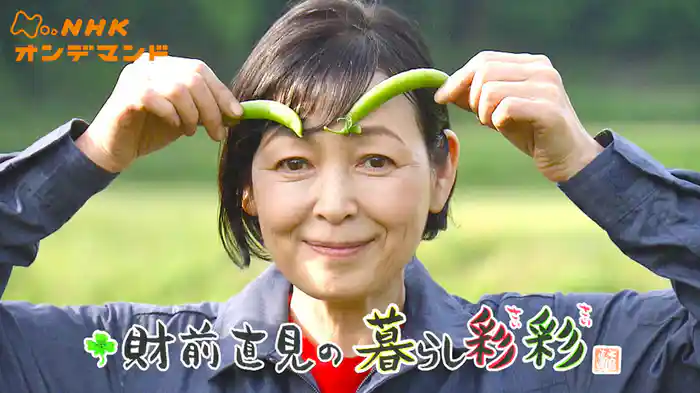 財前直見の暮らし彩彩